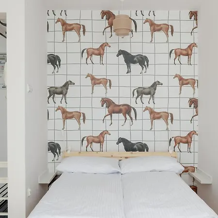 Cosy In By Renters アパート ザコパネ